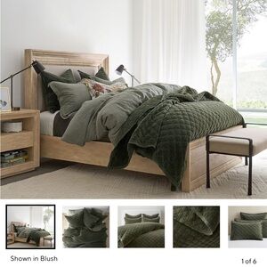 Pottery Barn Green Velvet Quilt